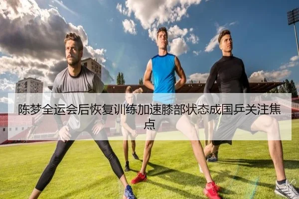陈梦全运会后恢复训练加速膝部状态成国乒关注焦点
